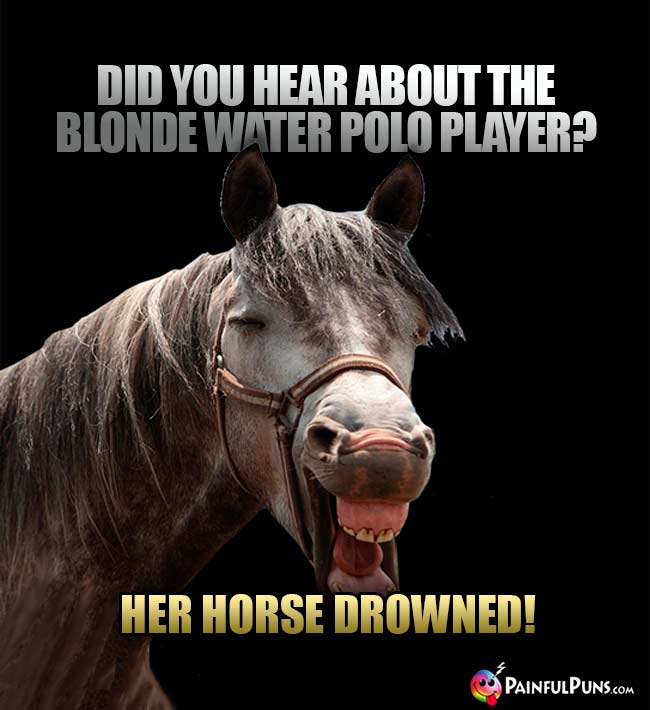 Did you hear about the blonde water polo player? Her horse drowned!