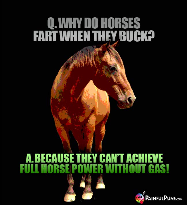 Q. Why do horses fart when they buck? A. Because they can't acheive full horse power without gas!