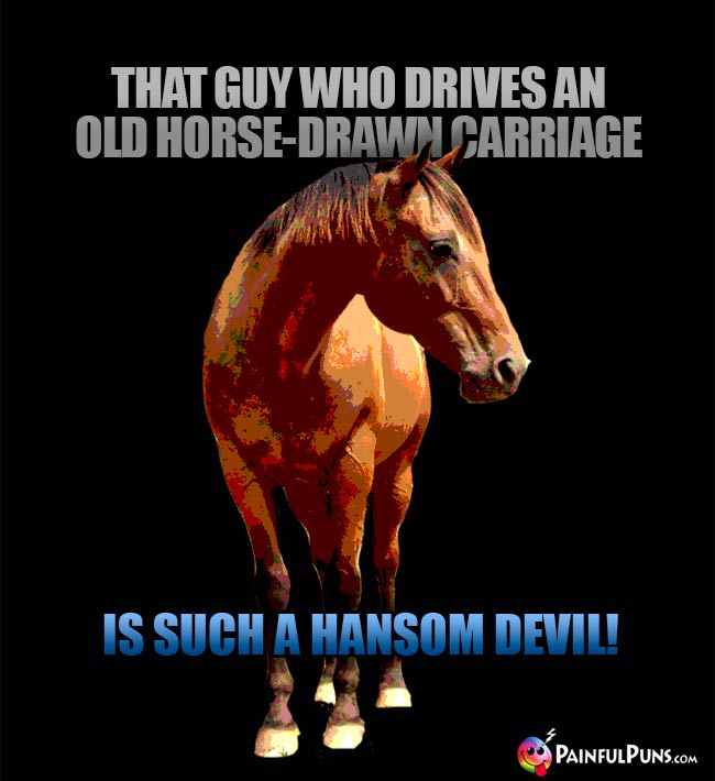 That guy who drives an old horse-drawn carriage is such a hansom devil!