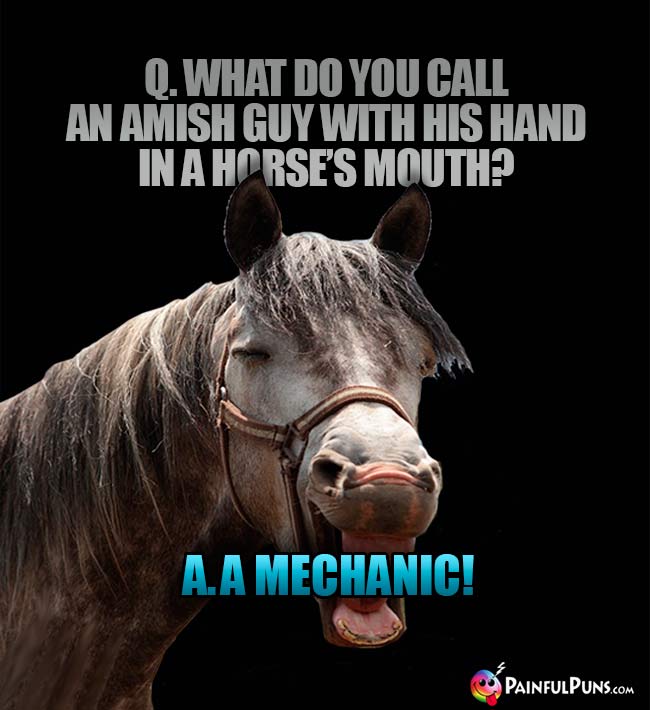 Q. What do you call an Amish guy with his hand in a horse's mouth? A. A Mechanic!