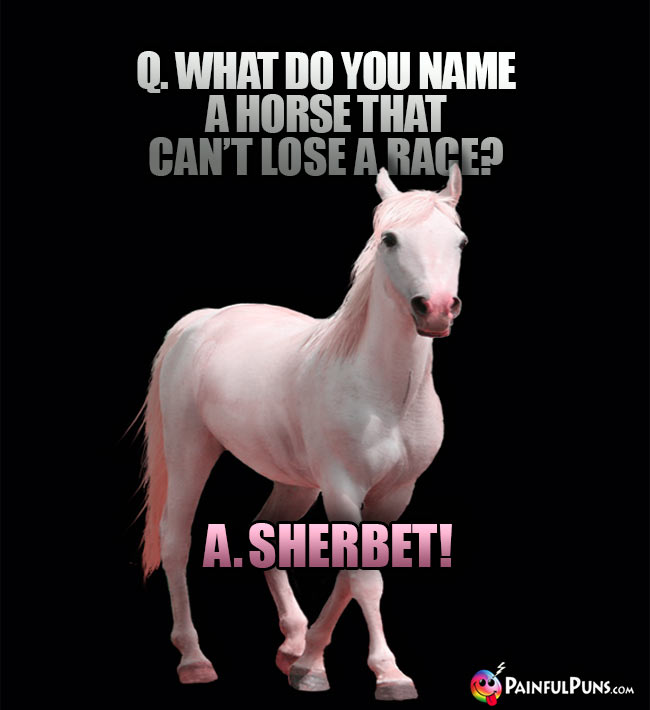 Q. What do you name a horse that can't lose a race? A. Sherbet!