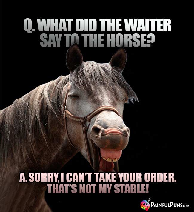 Q. What did the waiter say to the horse? A. Sorry, I can't take your order. That's not my stable!