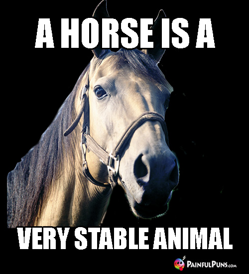 Fun FarmSaying: A Horse is a Very Stable Animal.