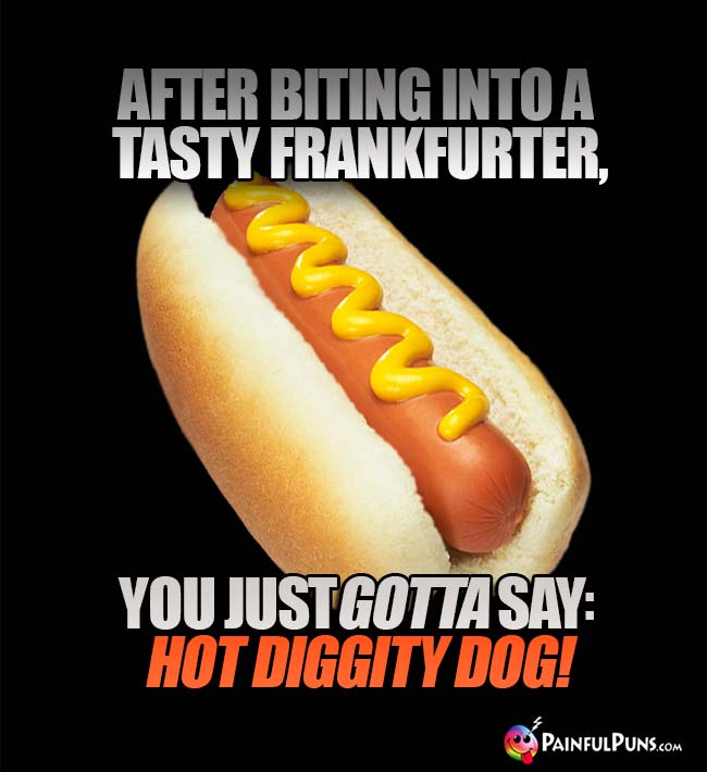 After biting into a tasty frankfurter, you jut gotta say: Hot Diggity Dog!
