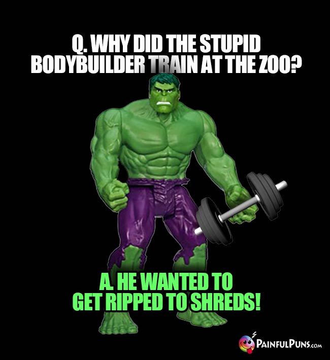 Q. Why did the stupid bodybuilder train at the zoo? A. He wanted to get ripped to shreds!
