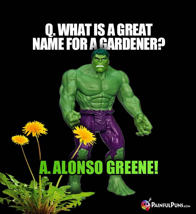 Hulk Asks: What is a great name for a gardener? A. Alonso Greene!