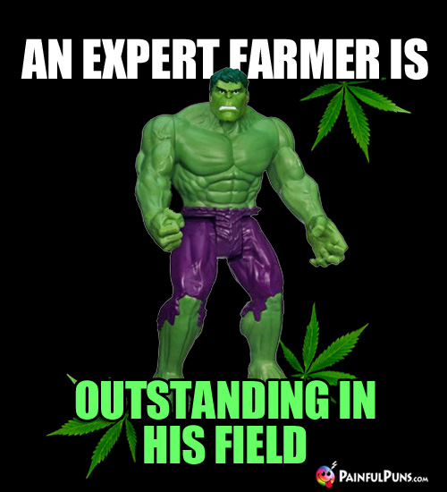 Hulk with Pot Leaves: An Expert Farmer is Outstanding in His Field