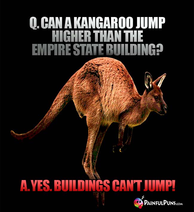 Q. Can a kangaroo jump higher than the Empire State Building? A. Yes, buildings ca't jump!
