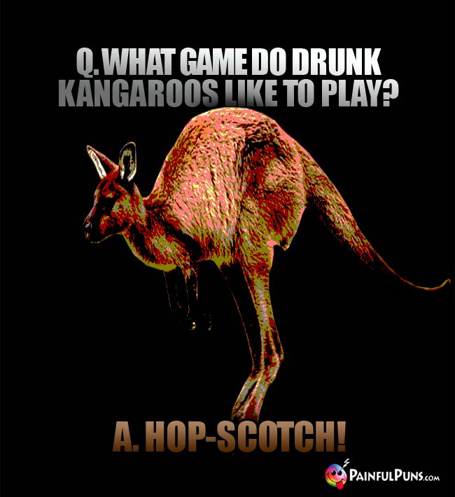 Q. What game do drunk kangaroos like to play? A. Hop-Scotch!