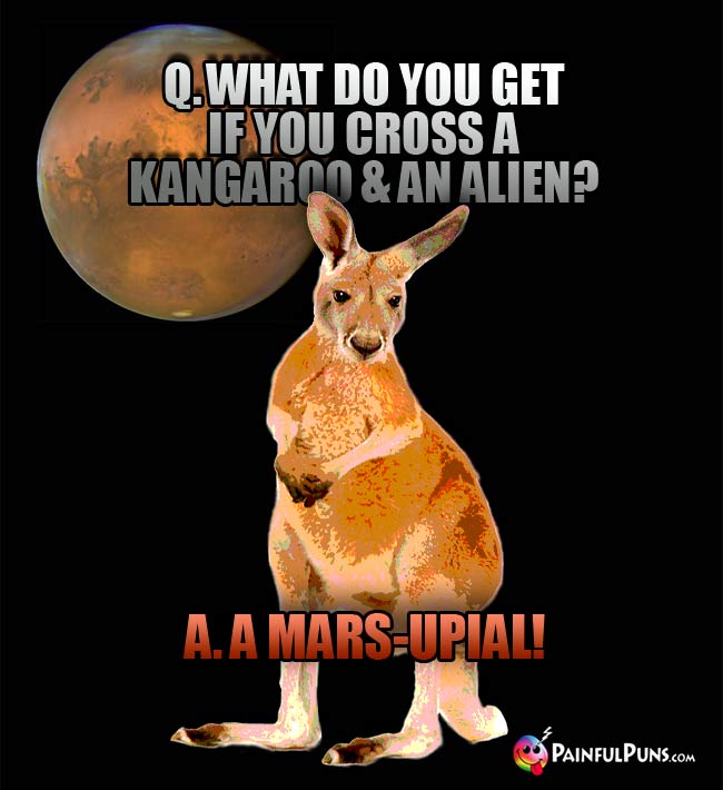 Q. What do you get if you cross a kangaroo and an alien? a. A Mars-upial!