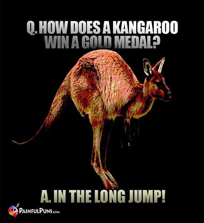 Q. How does a kangaroo win a gold medal?  A. In the Long Jump!