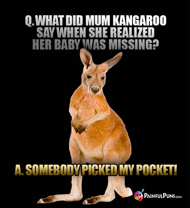Q. What did mom kangaroo say when she realized her baby was missing? A. Somebody picked my pocket!