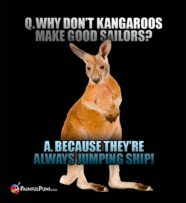 Q. Why don't kangaroos make good sailors? A. Because they;re always jumping ship1