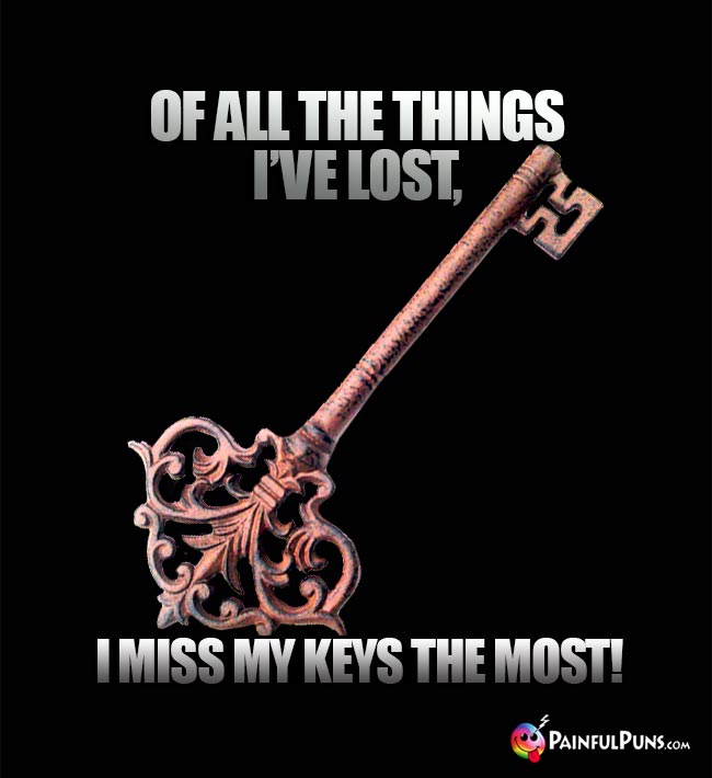 Of all the things I've lost, I miss my keys the most!