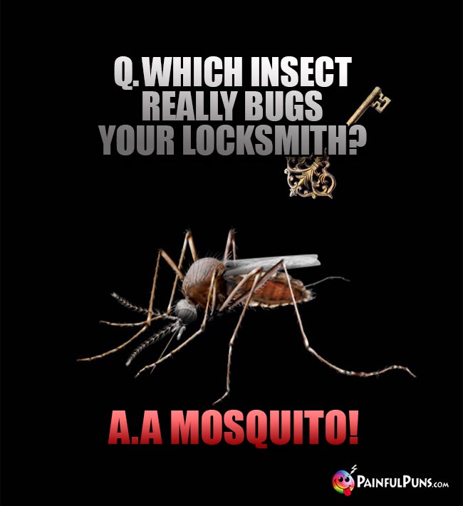 Q. Which insect really bugs your locksmith? A. A Mosquito!