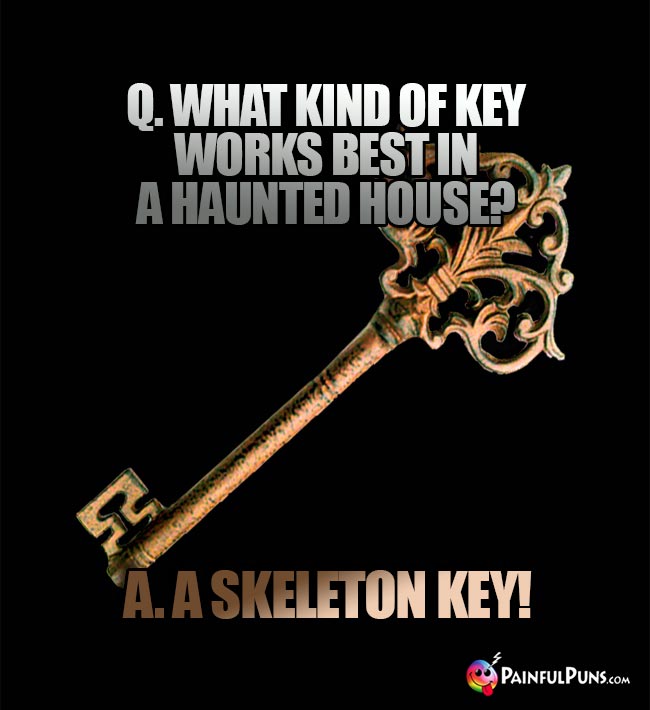 Q. What kind of key works best in a haunted house? A. A Skeletton Key!