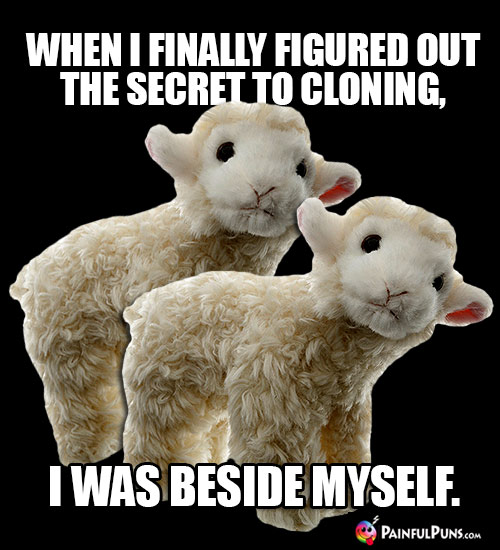 Sheep Joke: When I finally figured out the secret to cloning, I was beside myself.
