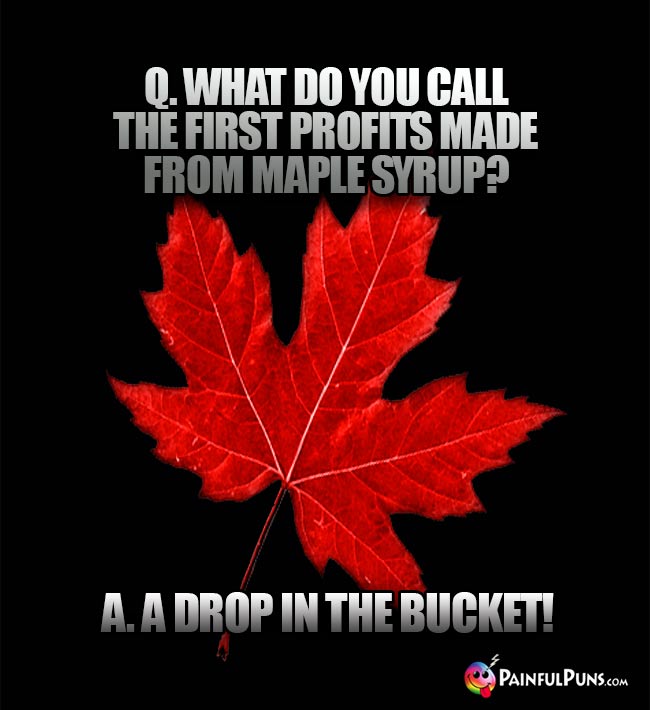 Q. What do you call the first profits made from maple syrup? A. A drop in the bucket!