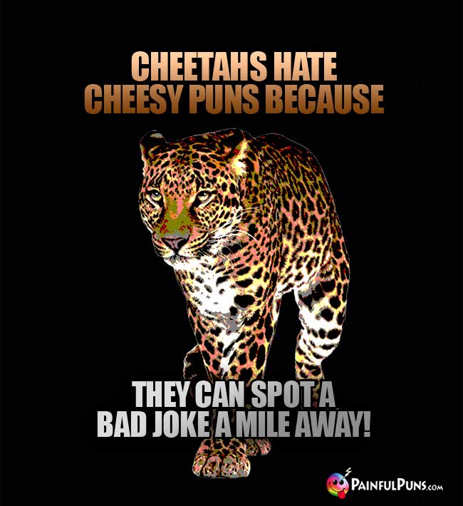 Cheetahs hate cheesy puns because they can spot a bad joke a mile away!
