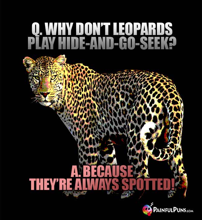 Q. Why don't leopards play hide-and-go-seek? a. Because they're always spotted!