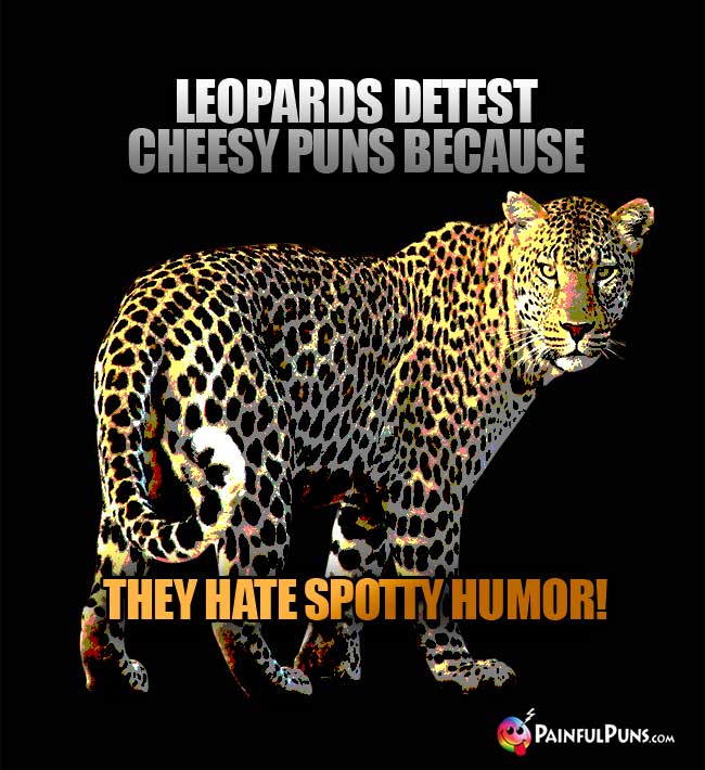 Leopards detest cheesy puns because they hat spotty humor!