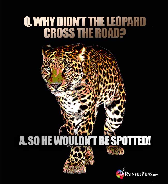 Q. Why didn't the leopard cross the road? A. So he wouldn't be spotted!