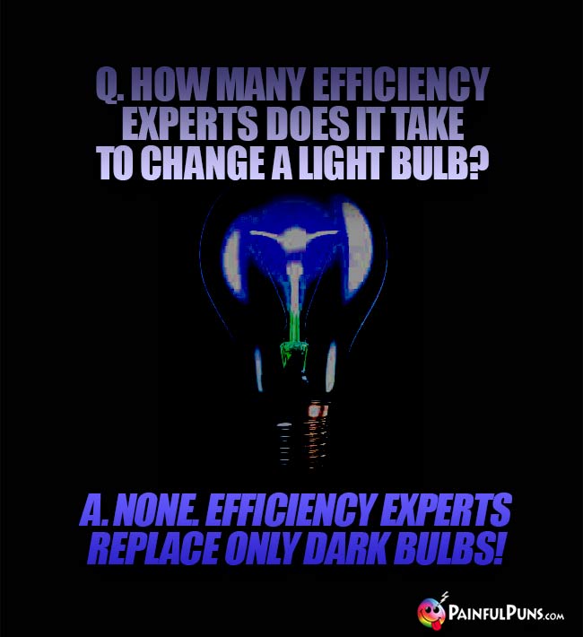 Q. How many efficiency experts does it take to change a light bulb? A. None. Efficiency experts replace only dark bulbs!