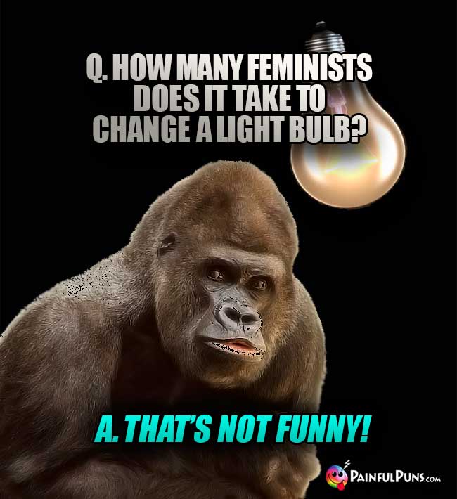 Q. How many feminists does it take to change a light bulb? A. That's not funny!