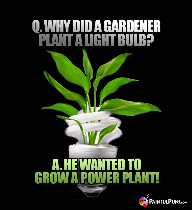 Q. why did a gardener plant a light bulb? A. He wanted to grow a power plant!