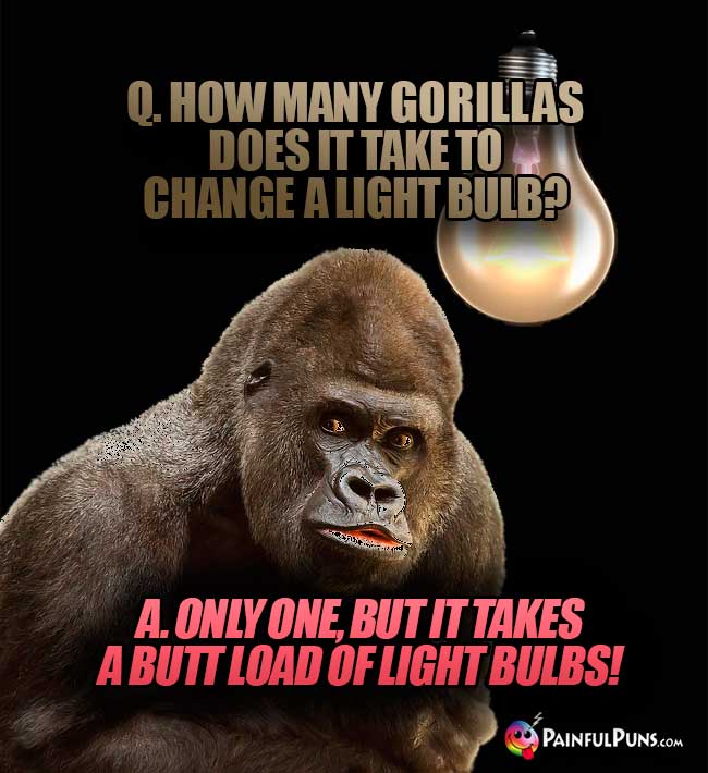 Q. How many gorillas does it take to change a light bulb? A. Only one, but it takes a butt load of ight bulbs!