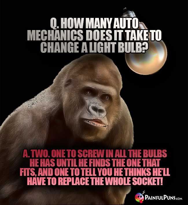 Q. How many auto mechanics does it take to change a light bulb? A. Two. One to screw in all the bulbs he has until he finds the one that fits, and one to tell you he thinks he'll have to replace the whole socket!