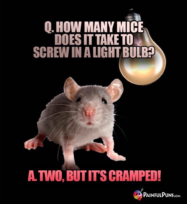 Q. How many mice does it take to screw in a light bulb? A. Two, but it's cramped!