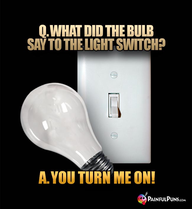 Q. What did the bulb say to the light switch? A. You turn me on!
