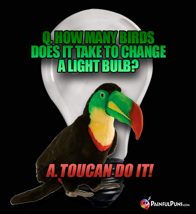 Q. How many birds does it take to change a light bulb? A. Toucan do it!