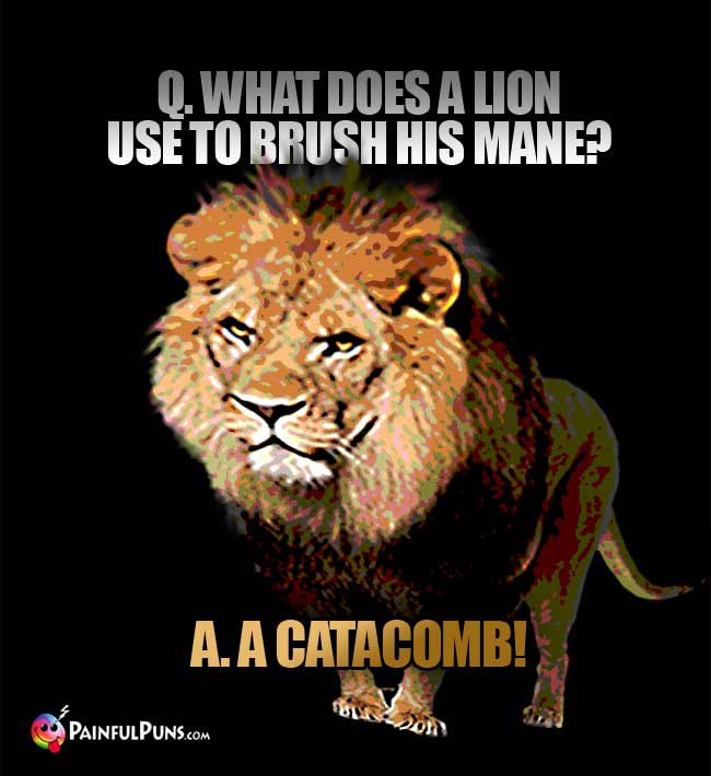 Q. What does a lion use to brush his mane? a. A catacomb!