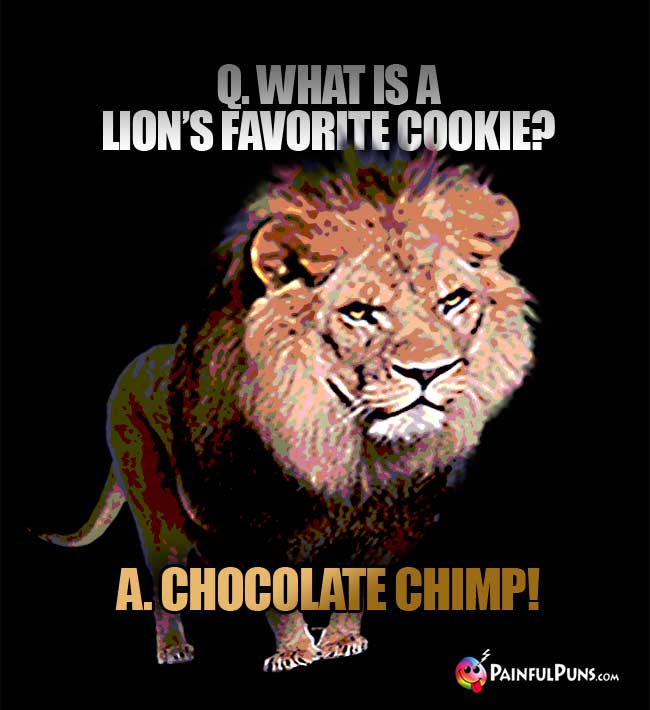 Q. What is a lion's favorite cookie? A. Chocolate Chimp!