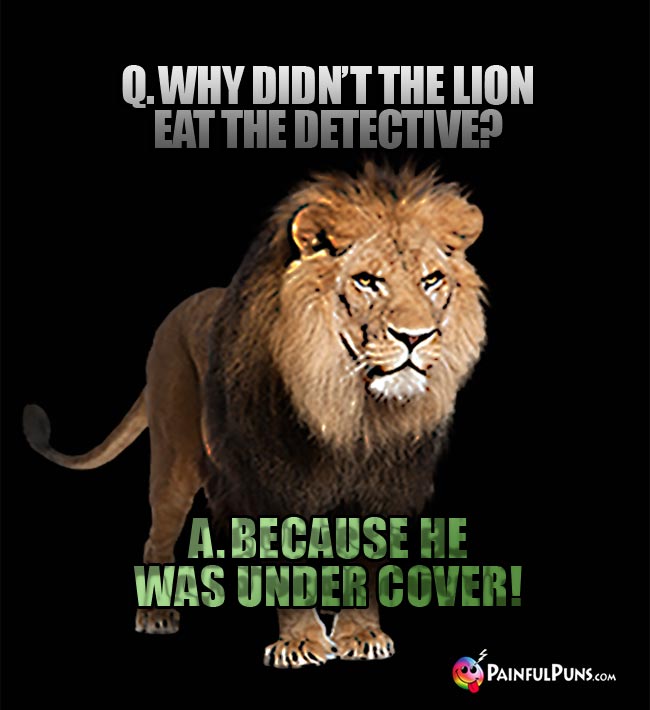 Q. Why didn't the lion eat the detective? A. Because he was under cover!