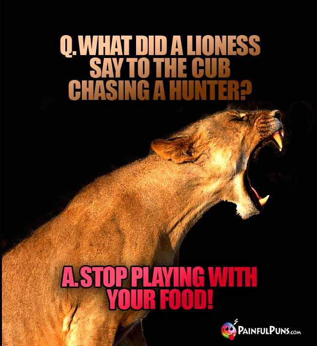 Q. What did a lioness say to the cub chasing a hunter? a. Stop playing with your food!