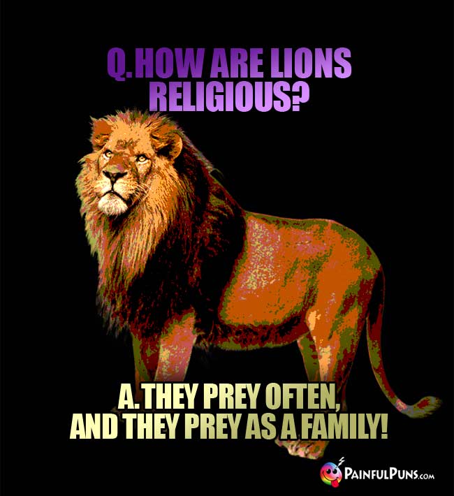 Q. How are lions religious? A. They prey often, and they prey as a fanily!