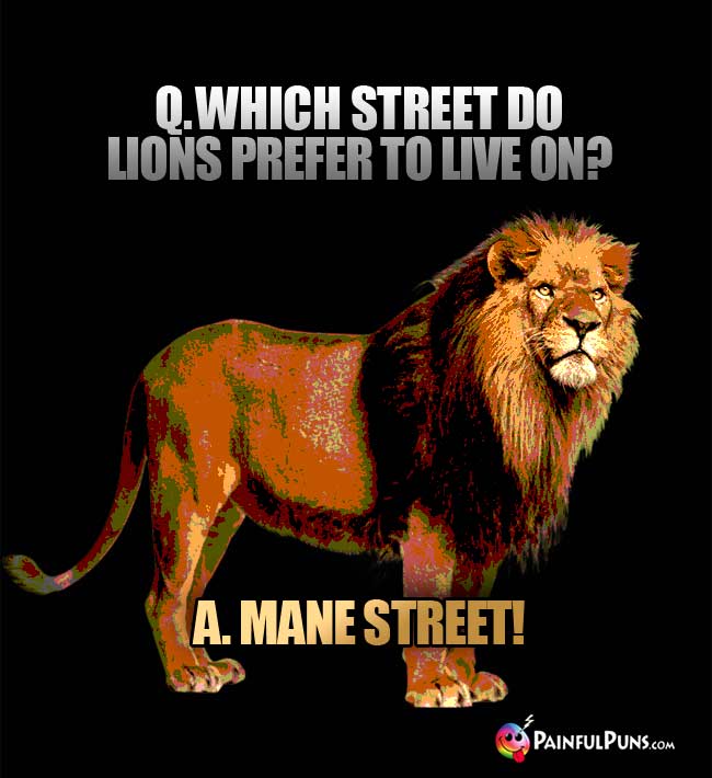 Q. Which street do lions prefer to live on? a. Mane Street!