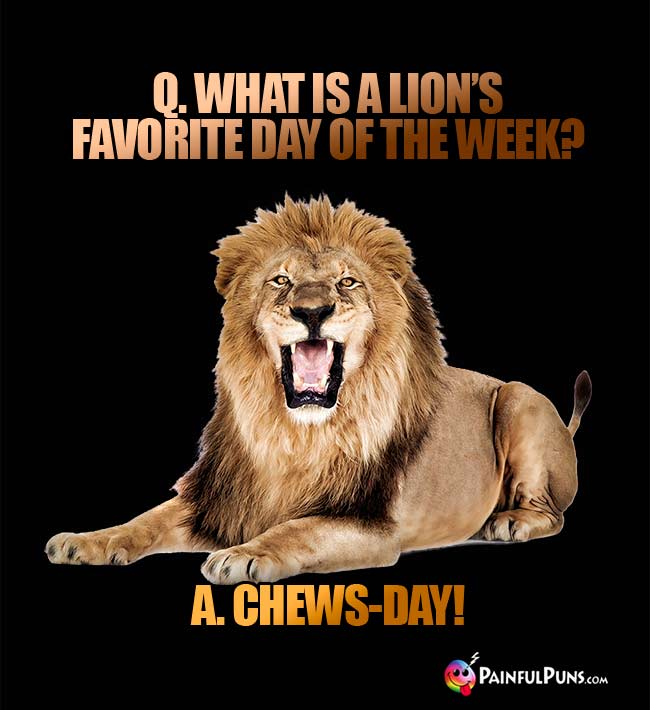 Q. What is a lion's favorite day of the week? a. Chews-Day!
