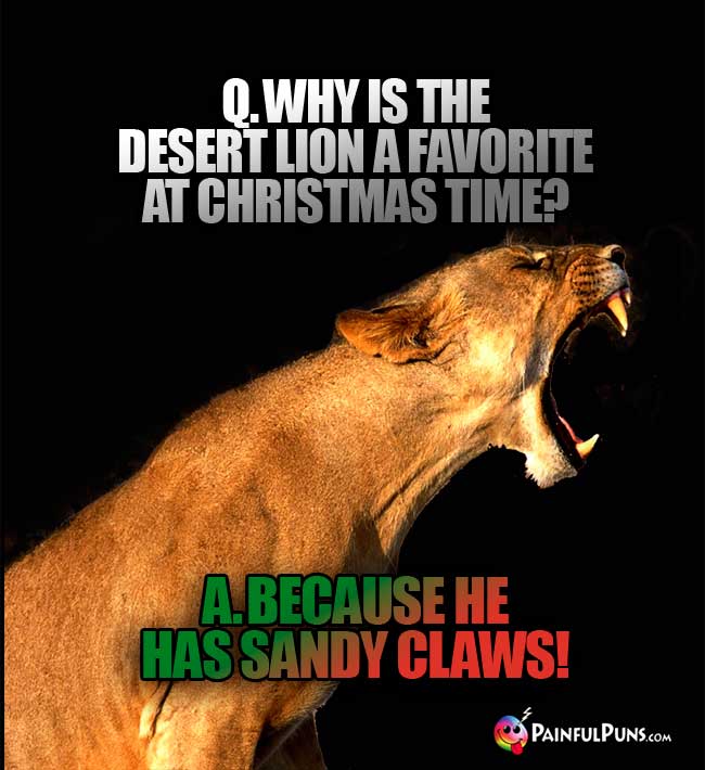 Q. Why is the desert lion a favorite at christmas time? A. because he has sandy claws!