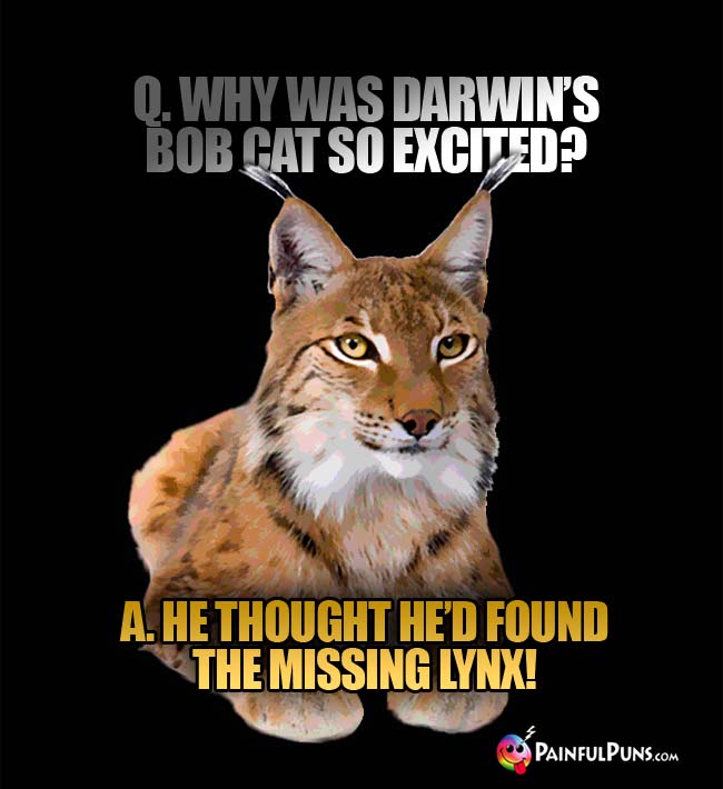 Q. Why was Darwin's bob cat so excited? A. He thought he'd found the missing lynx!