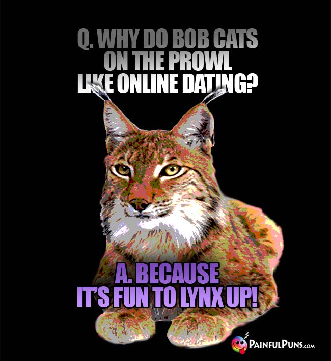 Q. Why do bob cats on the prowl like online dating? A. Because it's fun to lynx up!
