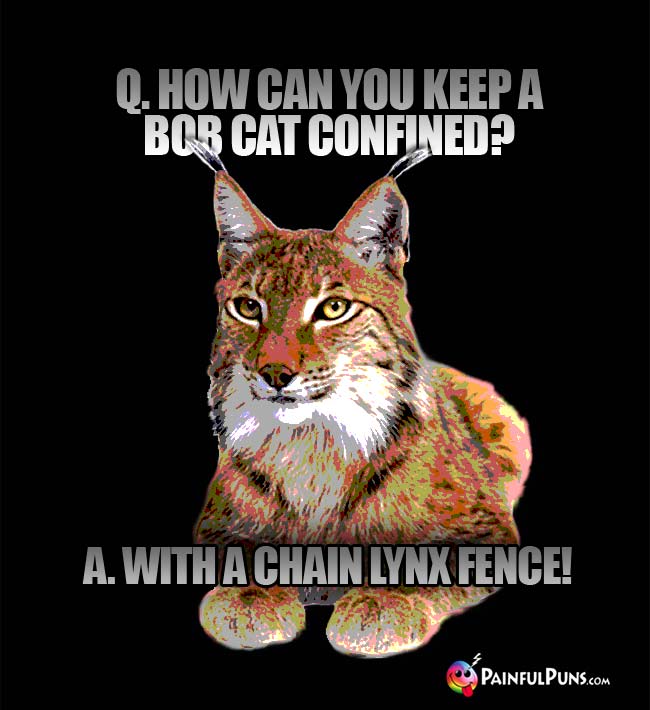 Q. How can you help a bob cat confined? A. With a chain lynx fence!