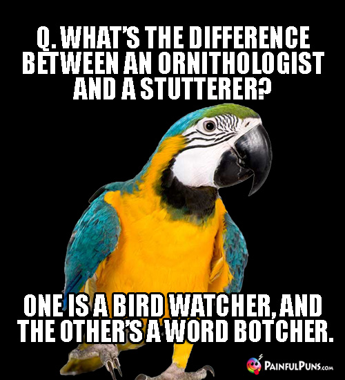 Q. What's the difference between an ornithologist and a stutterer? One is a bird watcher, and the other's a word botcher.