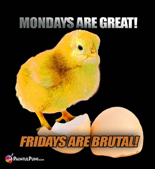 Baby Chick Says: Mondays Are Great! Fridays Are BrutalQ