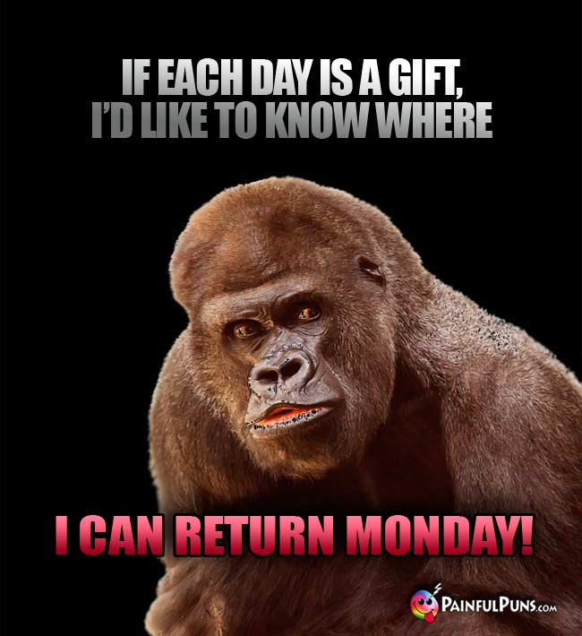 Big ape says: If each day is a gift, I'd like to know where I can return Monday!