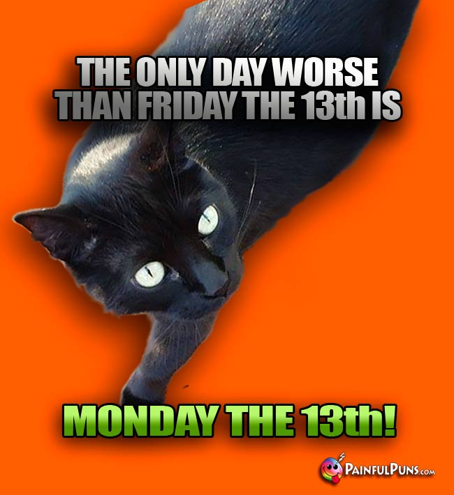 Black cat says: The only day worse than Friday the 13th is Monday the 13th!