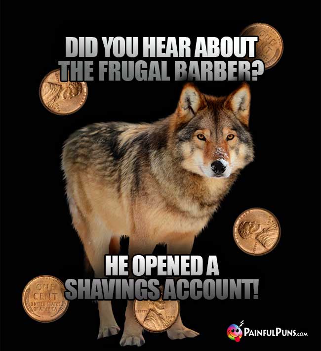 Did you hear about the frugal barber? He opened a shavings account!